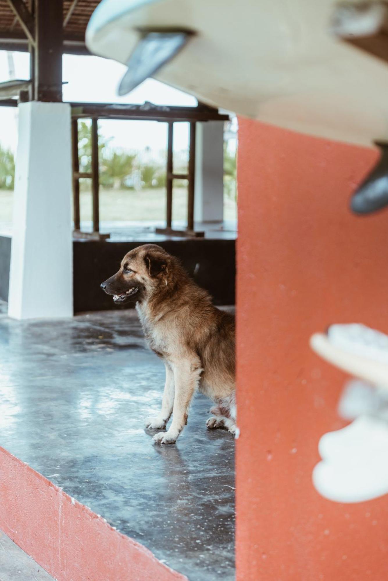 Alon Cloud9 Beach Front Catangnan Ngoại thất bức ảnh